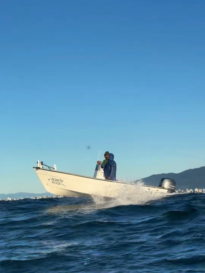 Bote Brasil navegando em alta velocidade